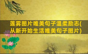 莲雾图片唯美句子温柔励志(从新开始生活唯美句子图片)