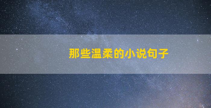 那些温柔的小说句子