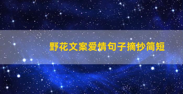 野花文案爱情句子摘抄简短