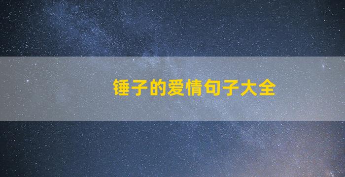 锤子的爱情句子大全