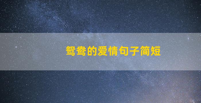 鸳鸯的爱情句子简短